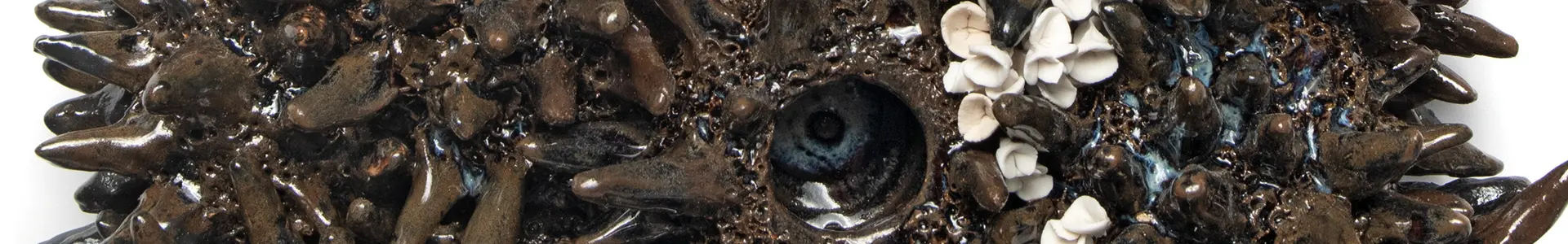 Detail- Beneath the Skin